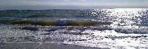 2011_07_05_t3.jpg
