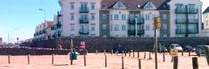 2009_09_15_t3.jpg