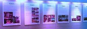 2010_02_04_t2.jpg 2010_02_04_t2.jpg