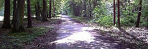 2010_08_23_2.jpg