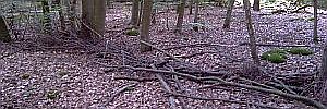 2010_08_23_t1.jpg