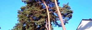 2010_09_24_2.jpg