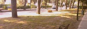 2011_01_18_t2.jpg