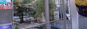 2011_03_25_t3.jpg 2011_03_25_t3.jpg