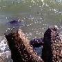 2011_07_04_t3.jpg