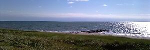 2011_07_05_t1.jpg