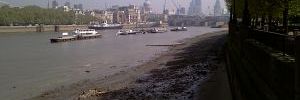 2011_07_21_t1.jpg