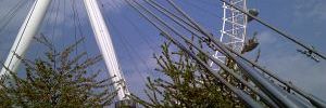 2011_07_21_t3.jpg