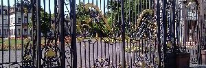 2011_08_10_2.jpg