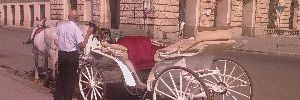2011_08_22_t3.jpg