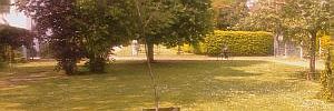 2011_09_02_t2.jpg