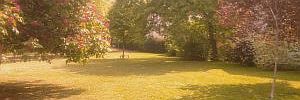 2011_09_02_t3.jpg