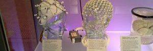 2011_09_07_t2.jpg 2011_09_07_t2.jpg