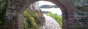 2011_10_12_t1.jpg