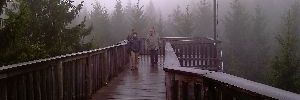 2011_11_18_t3.jpg