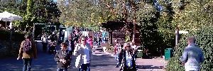 2011_12_20_t2.jpg