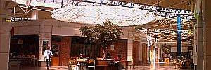 2012_02_03_t2.jpg 2012_02_03_t2.jpg