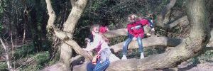2012_03_27_t3.jpg