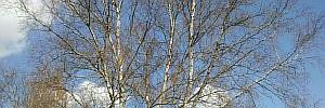 2012_04_17_t2.jpg