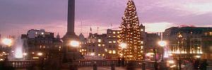2012_12_04_t1.jpg