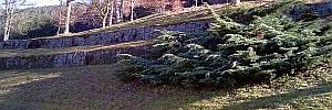 2013_03_11_2.jpg