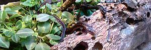2013_04_24.jpg