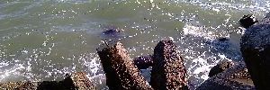 2013_05_24_2.jpg