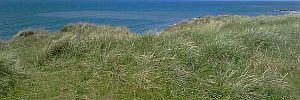 2014_09_19_t3.jpg