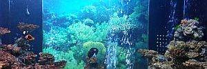 2015_04_10_t2.jpg 2015_04_10_t2.jpg