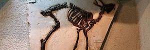 2015_04_10_t3.jpg 2015_04_10_t3.jpg