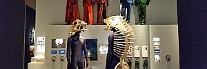 2016_01_02_t1.jpg