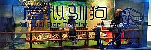 2016_07_25.jpg