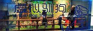 2016_07_25.jpg 2016_07_25.jpg