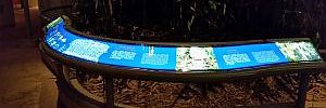 2016_11_24_t1.jpg