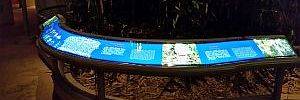 2016_11_24_t1.jpg 2016_11_24_t1.jpg