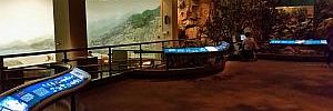 2016_11_24_t2.jpg