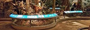 2016_11_24_t3.jpg