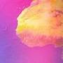 2019_02_08_t3.jpg